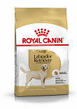 Royal Canin Hondenvoer Labrador Retriever Adult 3 kg
