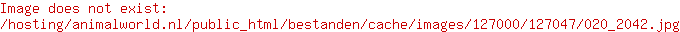 Kong Kerst Cozie Reindeer M