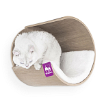 Petrebels Wall of Rebels Moon 40 Old Grey