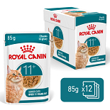 Royal Canin Kattenvoer Ageing 11+ in gravy 12 x 85 gr