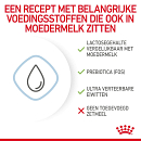 Royal Canin hondenvoer Babydog Milk 2 kg