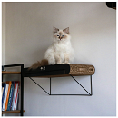 D&D I Love Happy Cats Muurplank David L