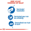 Royal Canin kattenvoer Indoor Long Hair 400 gr