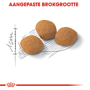 Royal Canin Kattenvoer Protein Exigent 4 kg
