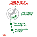 Royal Canin hondenvoer Mini Adult 8+ 8 kg