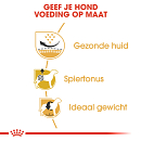 Royal Canin Hondenvoer Pug Adult <br>3 kg
