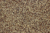 Wildzangzaad 1 kg