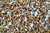 Havens Zuiveringsvoer/Dieetvoer 20 kg