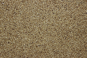 Witzaad 1 kg