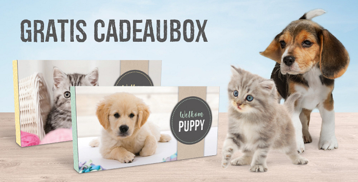 Binnenkort een puppy of kitten?