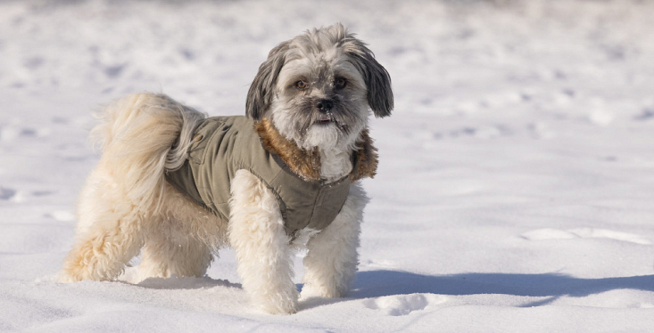 Warm en stijlvol naar buiten