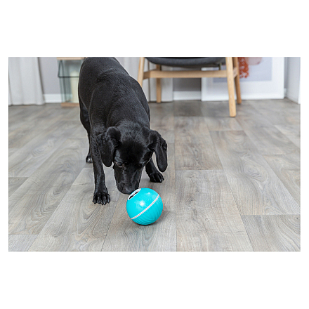 TRIXIE Hondenspeelgoed Snackbal Blauw Ø 14 cm