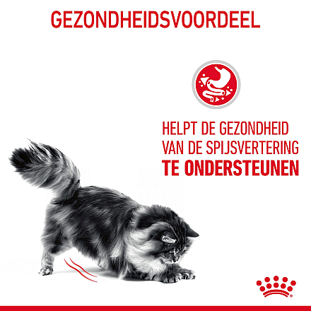 Royal Canin kattenvoer Digestive Care 10 kg