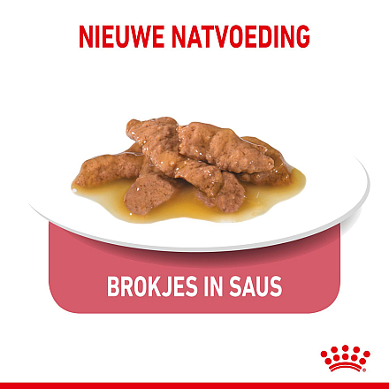 Royal Canin Kattenvoer Indoor in Gravy <br>12 x 85 gr