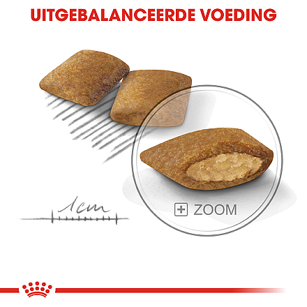 Royal Canin hondenvoer Exigent Mini 1 kg