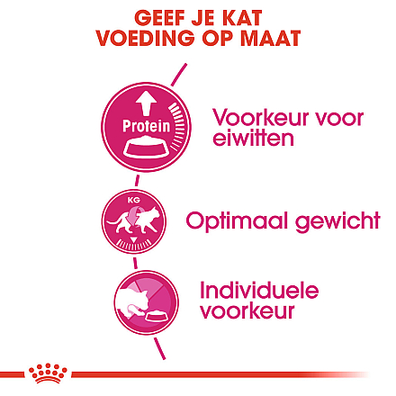 Royal Canin Kattenvoer Protein Exigent 4 kg