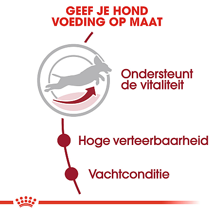 Royal Canin hondenvoer Medium Adult 7+ 4 kg