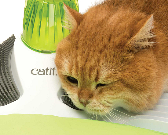 Catit Senses 2.0 Wellness Center