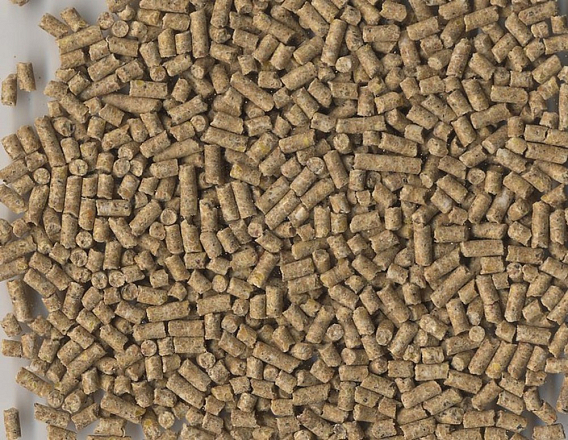 Havens Start Premium Korrel 25 kg