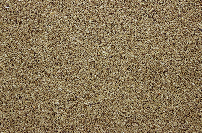 Witzaad 1 kg