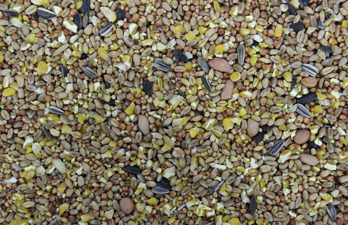 Strooivoer met Pinda's 20 kg